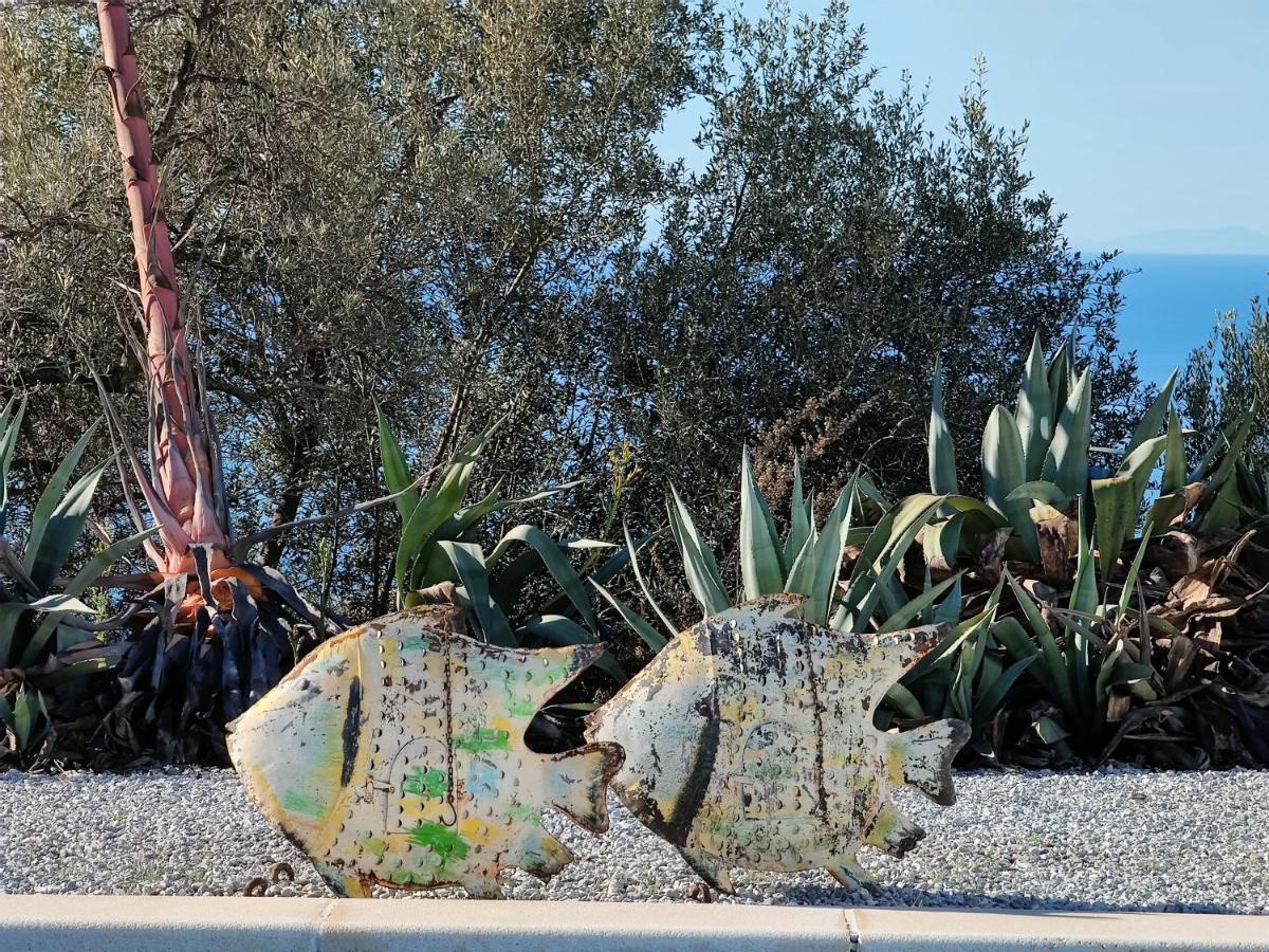 Campo Agave Luxury Tents * Sayalonga