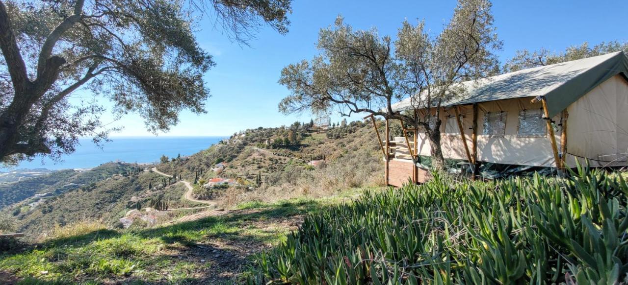 Campo Agave Luxury Tents Tenda de luxe *