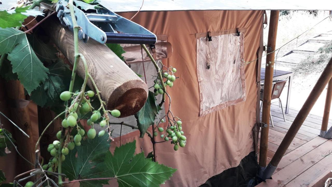 Campo Agave Luxury Tents Tente de luxe Sayalonga