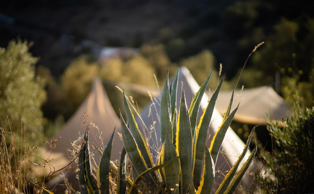 Campo Agave Luxury Tents Sayalonga