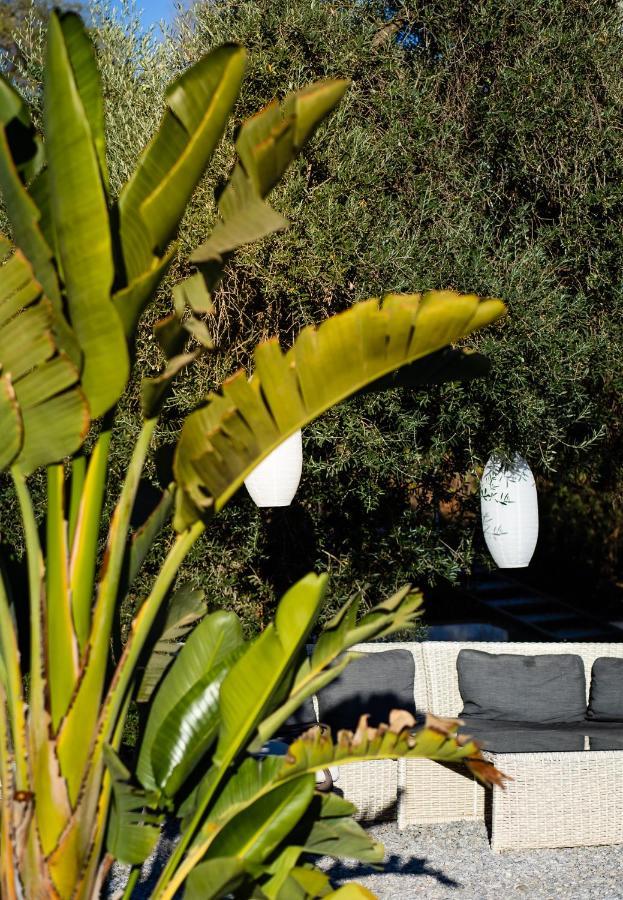 Campo Agave Luxury Tents Sayalonga