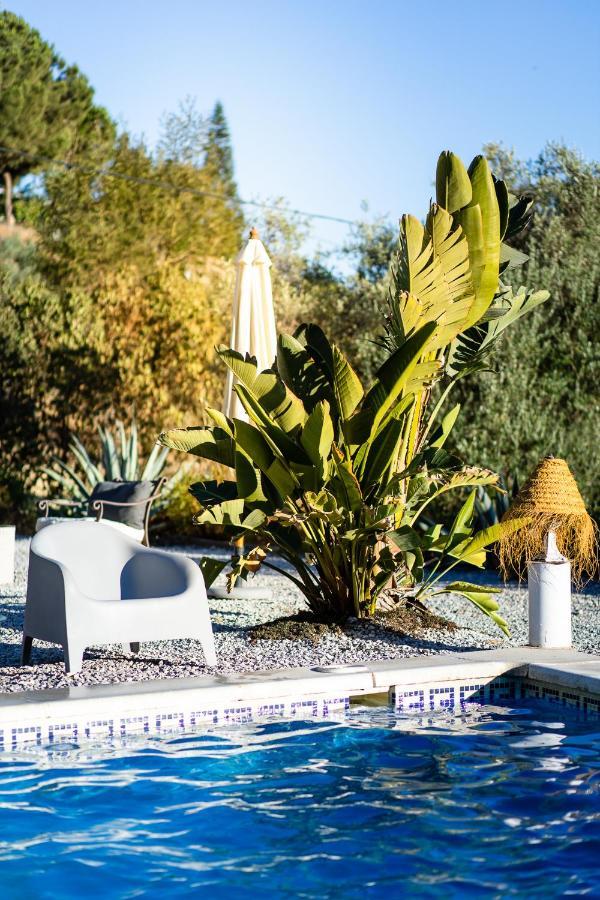 Campo Agave Luxury Tents