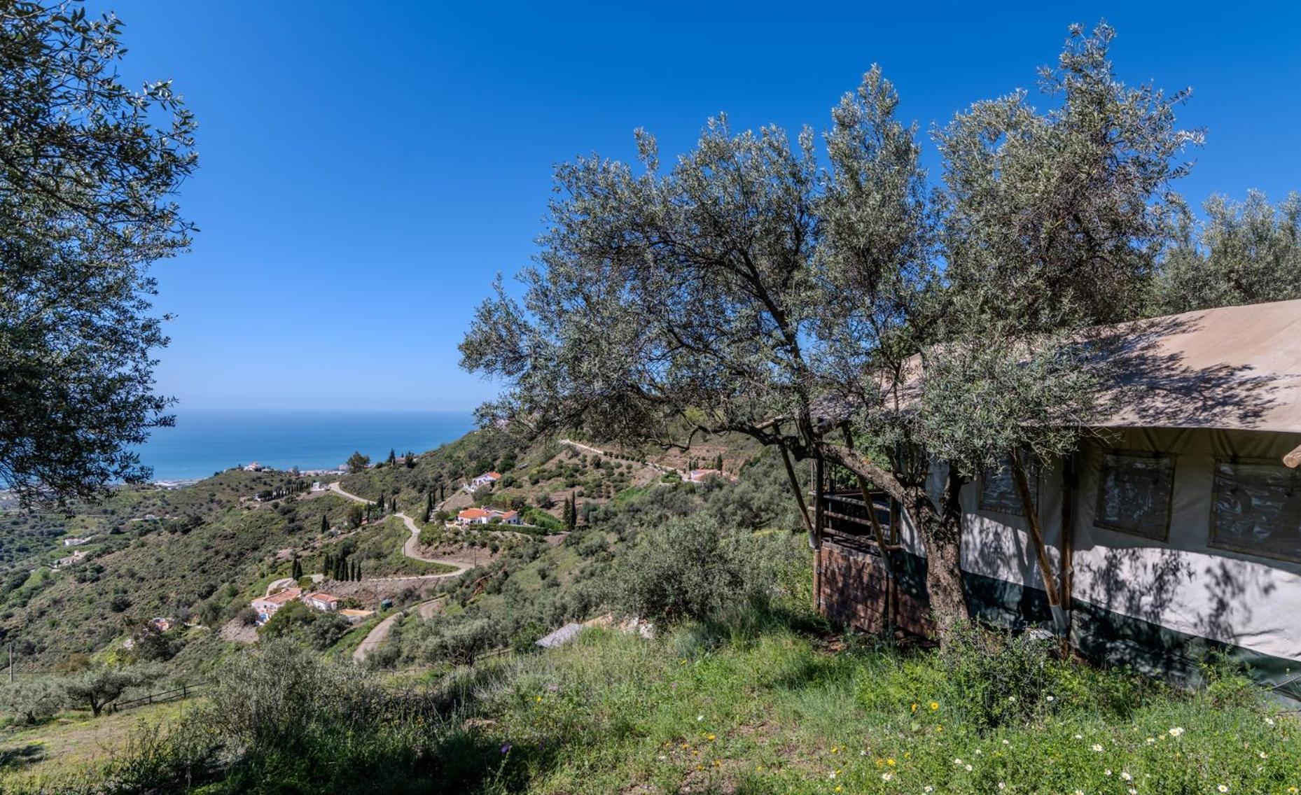 Campo Agave Luxury Tents Sayalonga